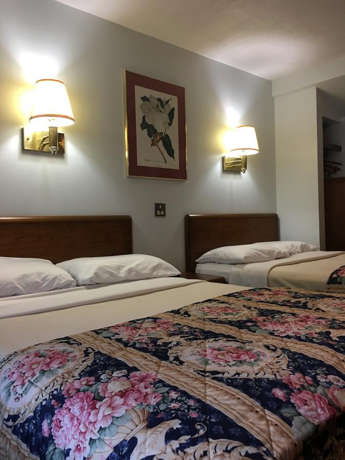 Barberry Court Motel &Cabins เลคจอร์จ ภายนอก รูปภาพ